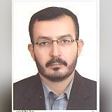 سید مهدی صالحی