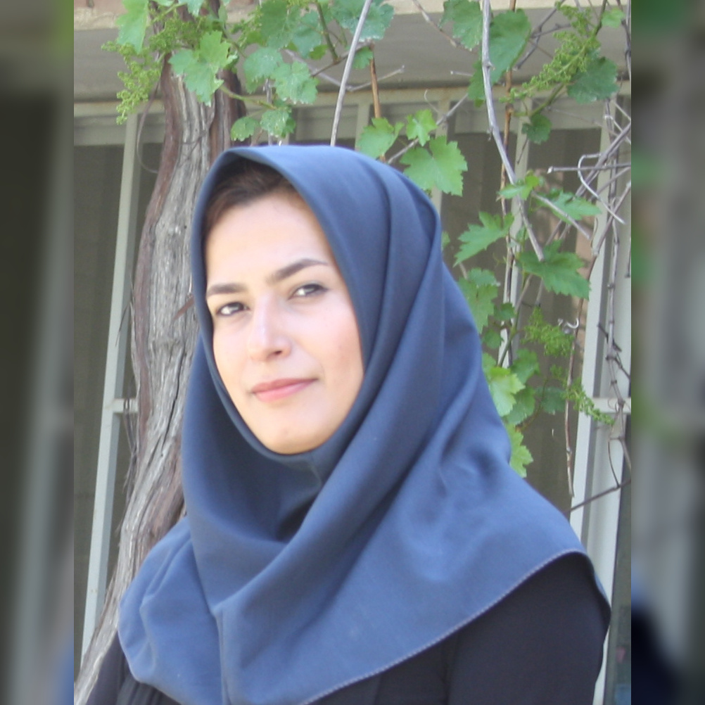 پری ملک‌زاده